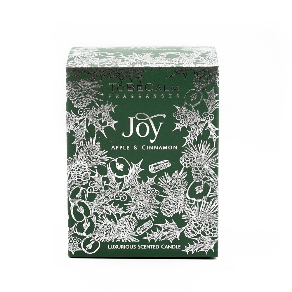 To Be Calm Joy - Apple & Cinnamon - Large Soy Candle