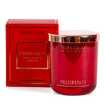 to-be-calm-prosperity-white-peony-tuberose-deluxe-extra-large-candle